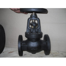 Rising Stem Gate Valve à ANSI